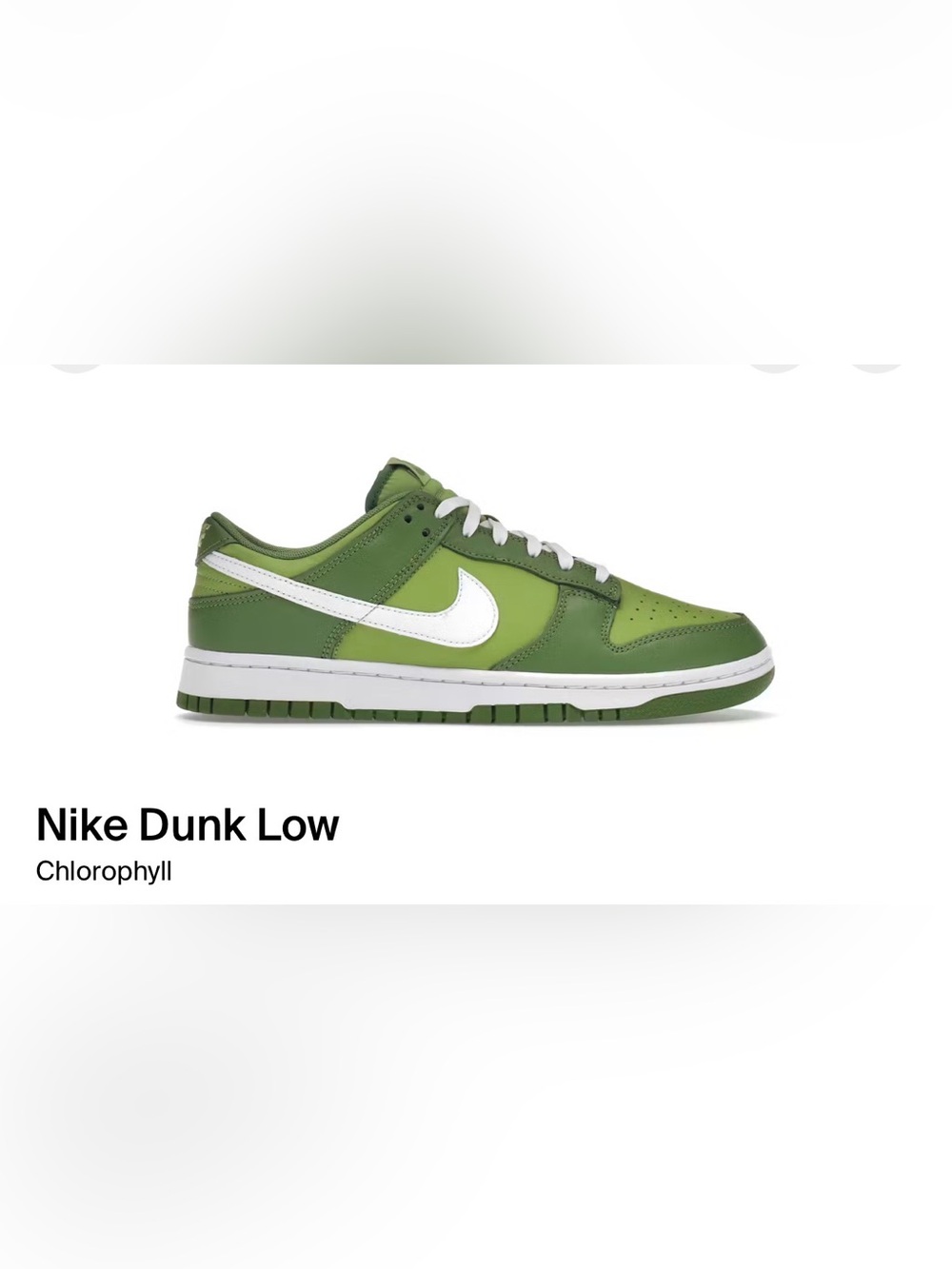 Nike Dunk Low Green & White US 8 Like New